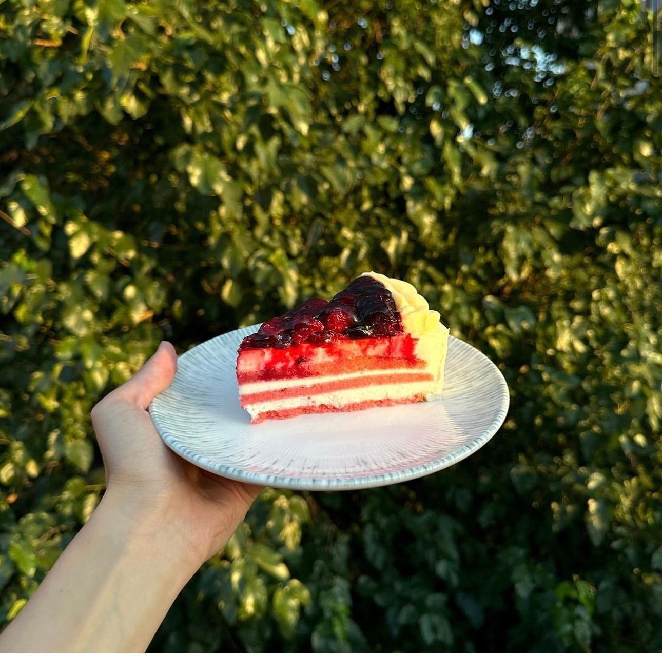 Orman Meyveli Cheesecake