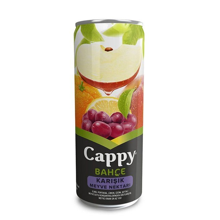 Cappy Karışık (33 Cl)