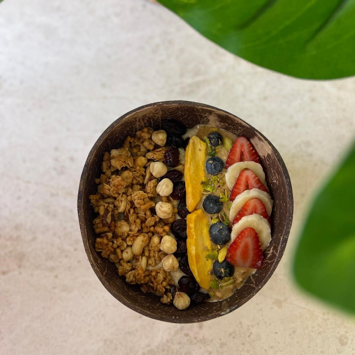 Yulaf Bowl