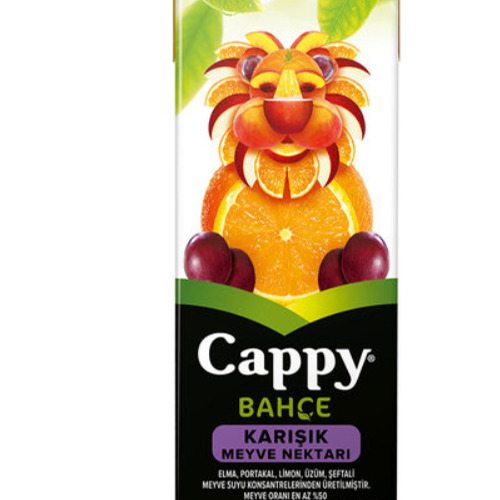 Karışık Meyvesuyu 200 ml