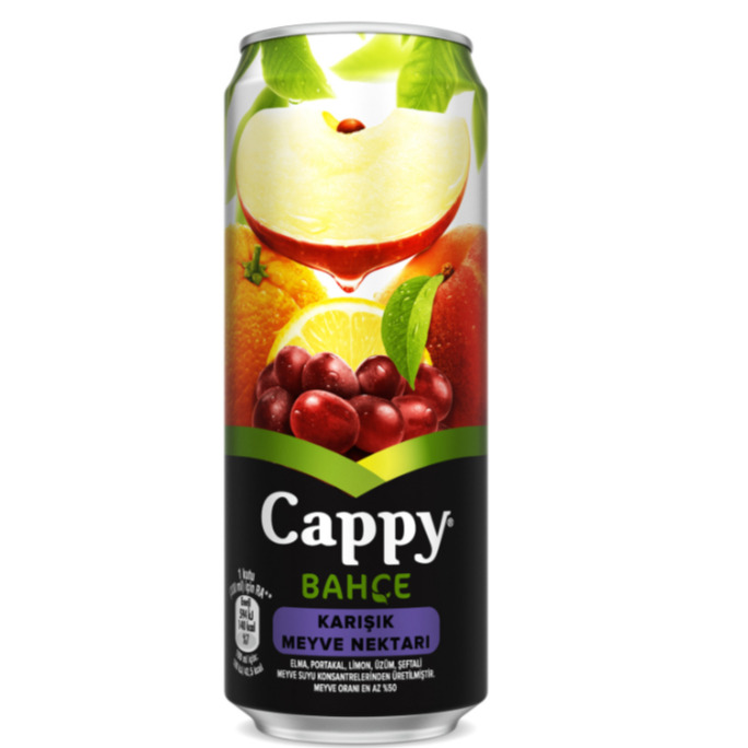 Meyve Suyu Cappy Karışık