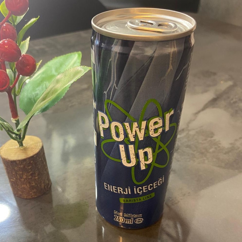 Enerji İçeceği (250 Ml)