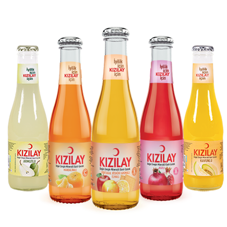 Meyveli Soda (200 ml)