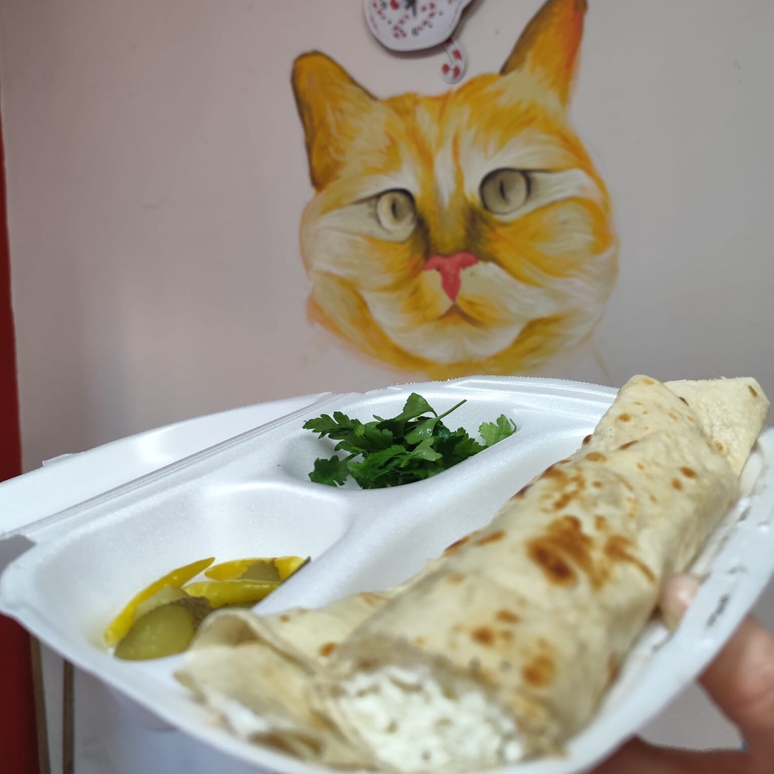 Antep Peynirli Sıkma( 2 parça halinde)