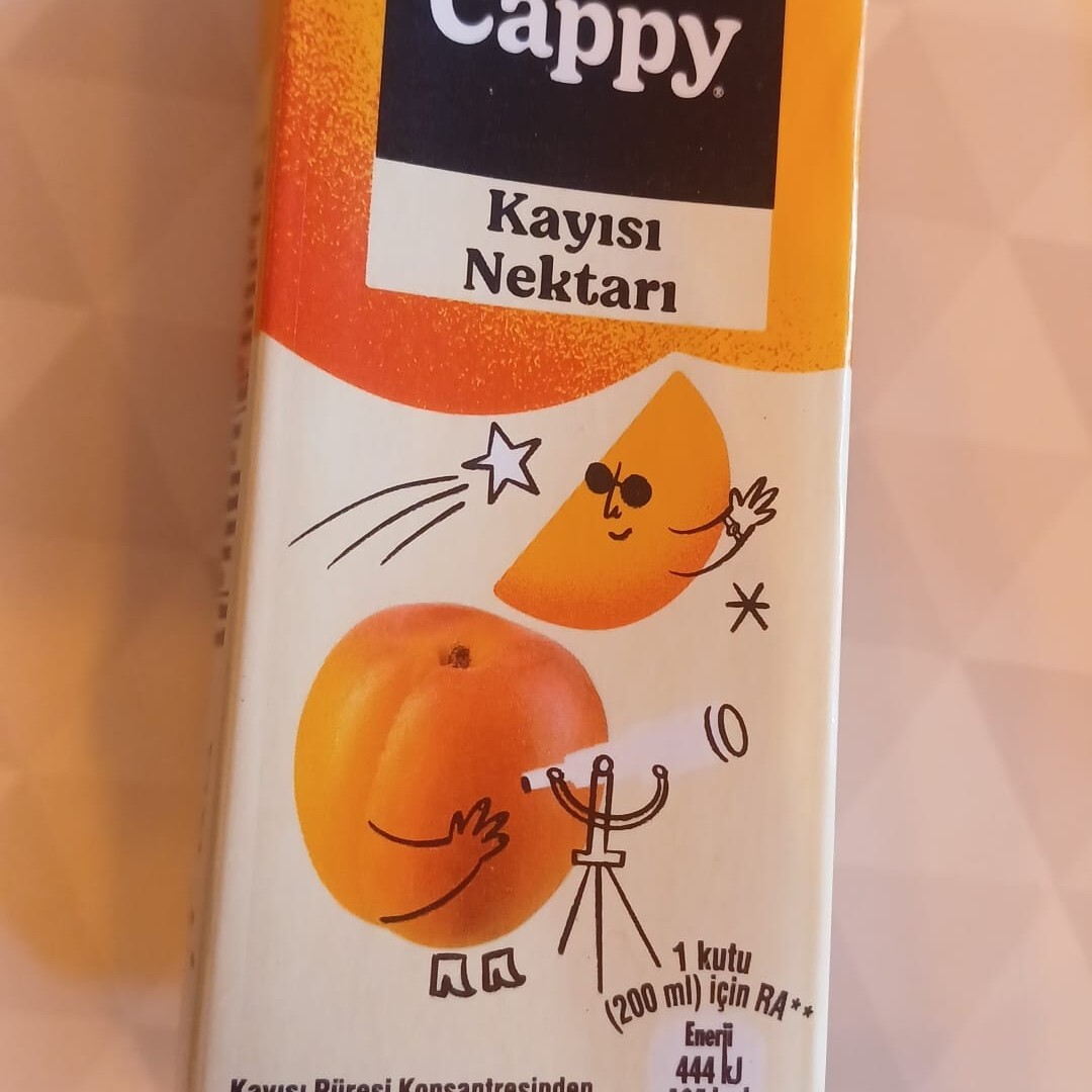 Cappy Kayısı (200 ml)