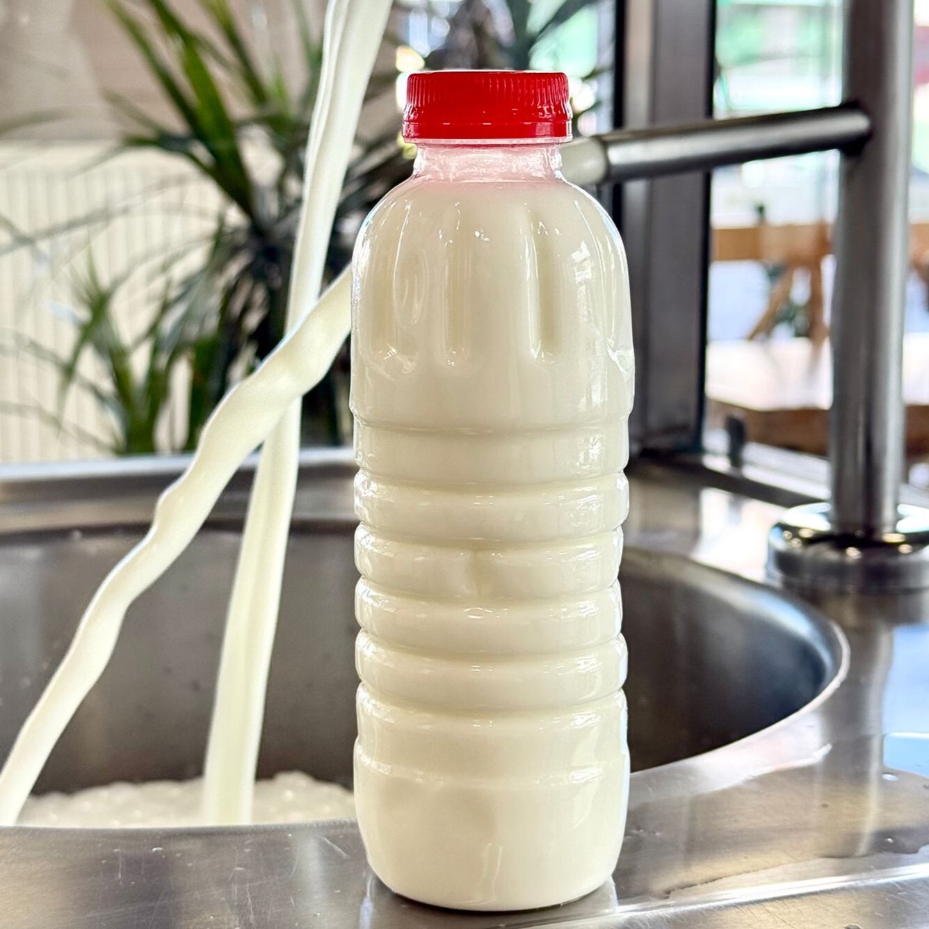 Açık Ayran