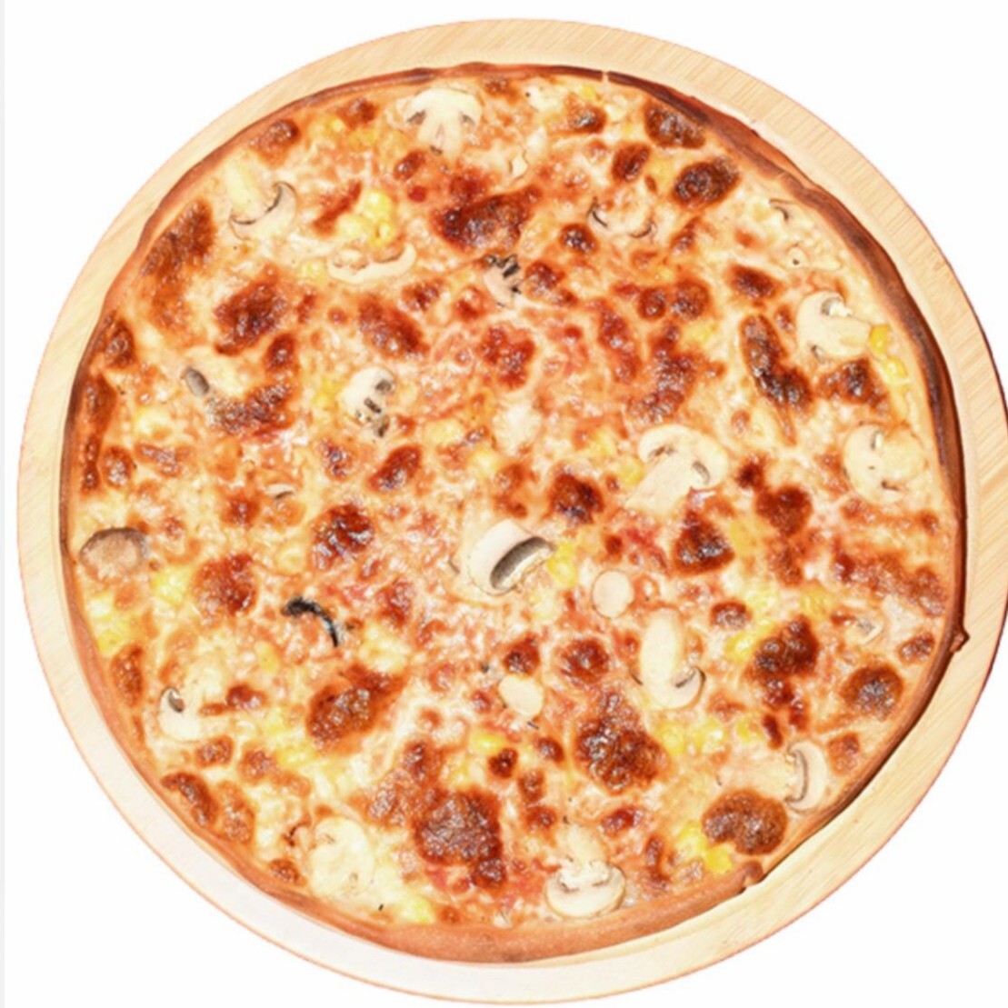 Mantar Şöleni (Orta Boy)