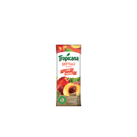 Tropicana Karışık (20 cl.)