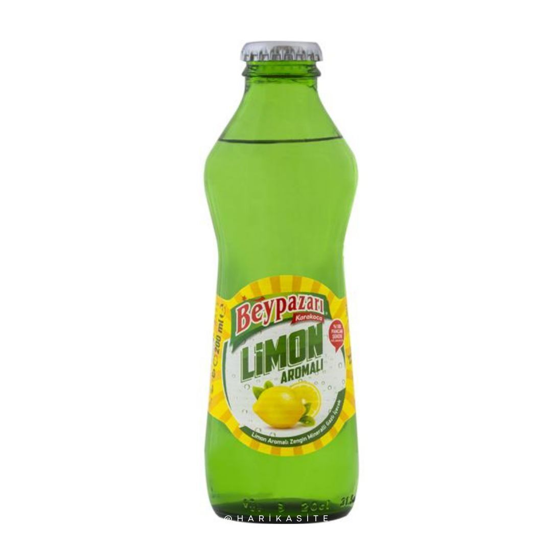 Meyveli Soda (20 cl.)
