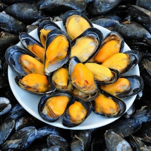 Midye Dolma
