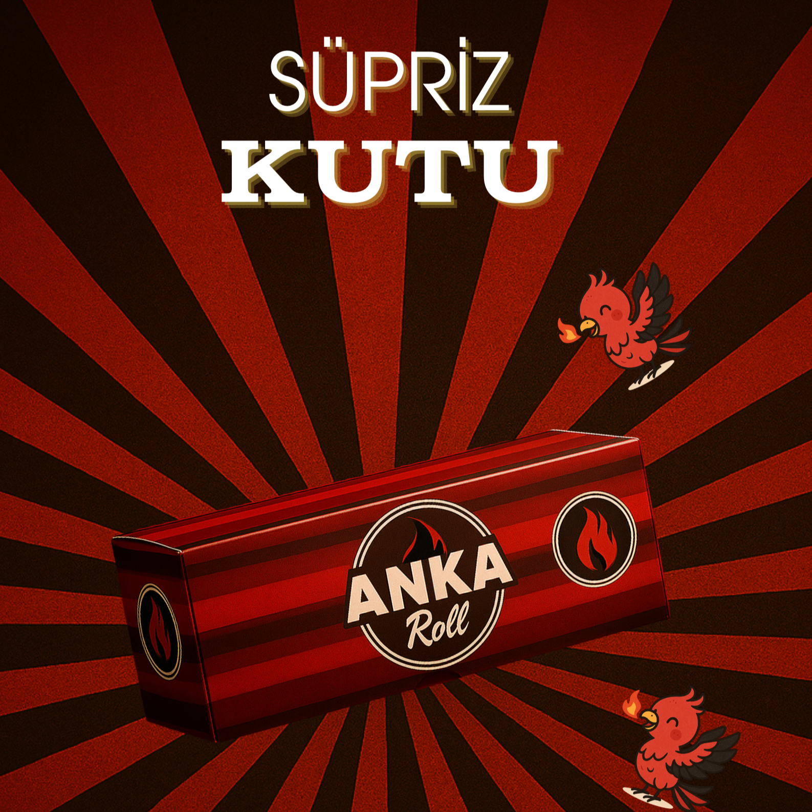 Sürpiz Kutu