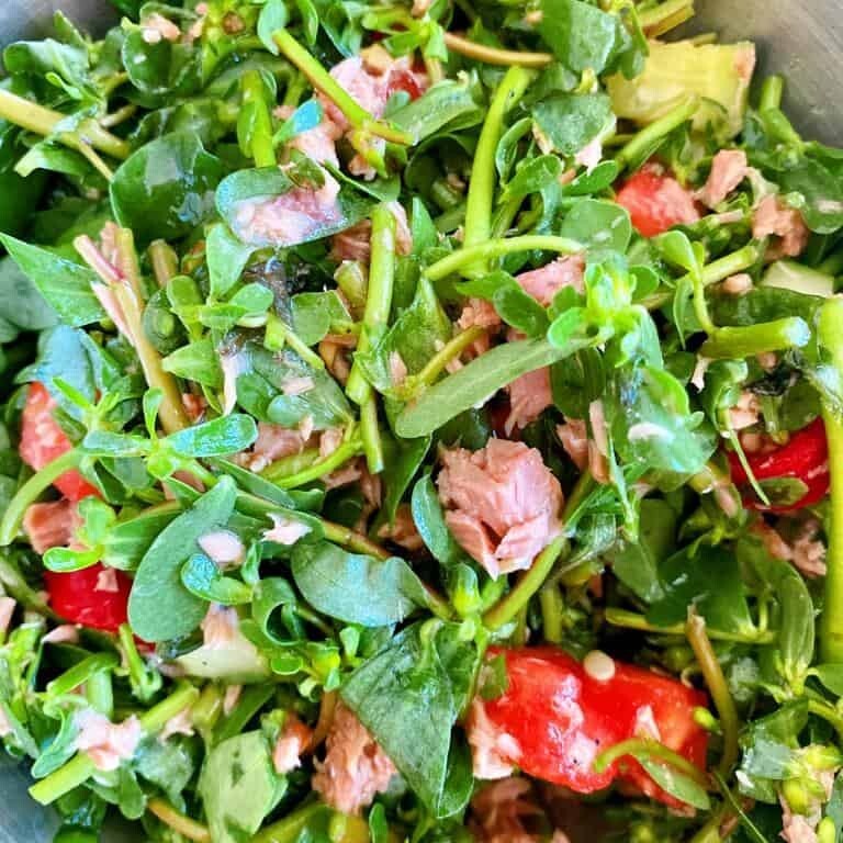 Ton Balıklı Semizotu Salatası