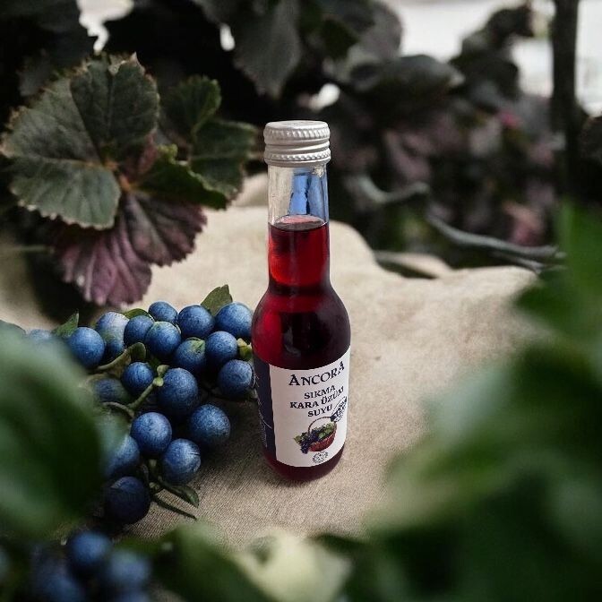 Sıkma Kara Üzüm Suyu 🍇🥤