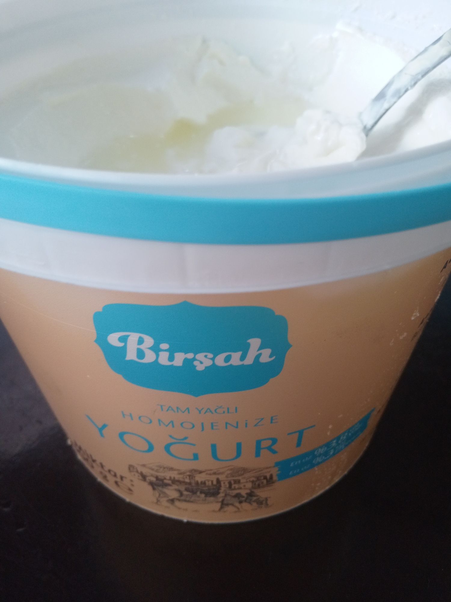 Yoğurt
