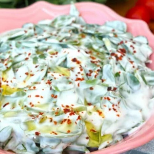 Semiz Yoğurtlu (200 gr)