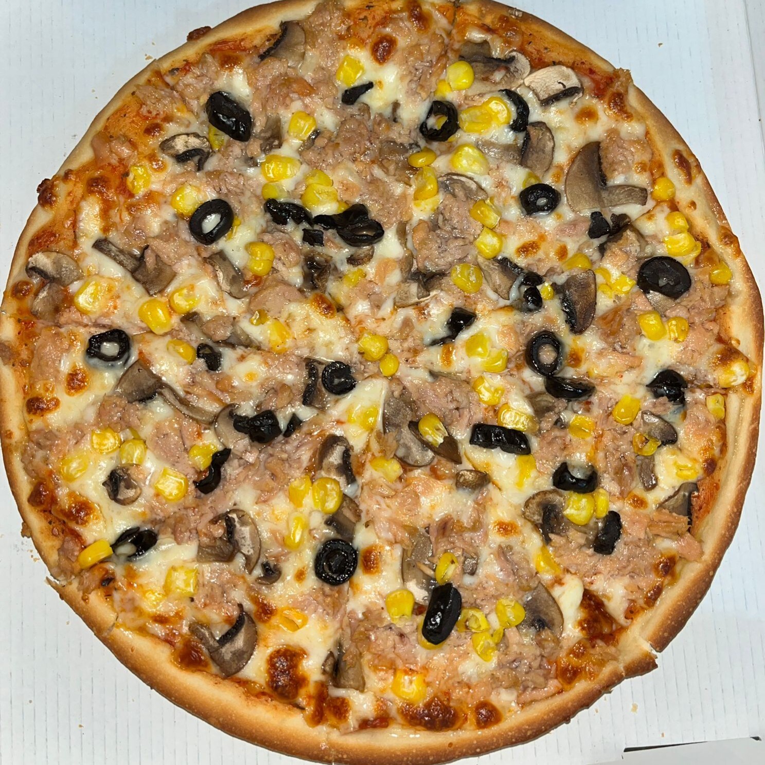 Büyük Boy pizza ( Ton balıklı)