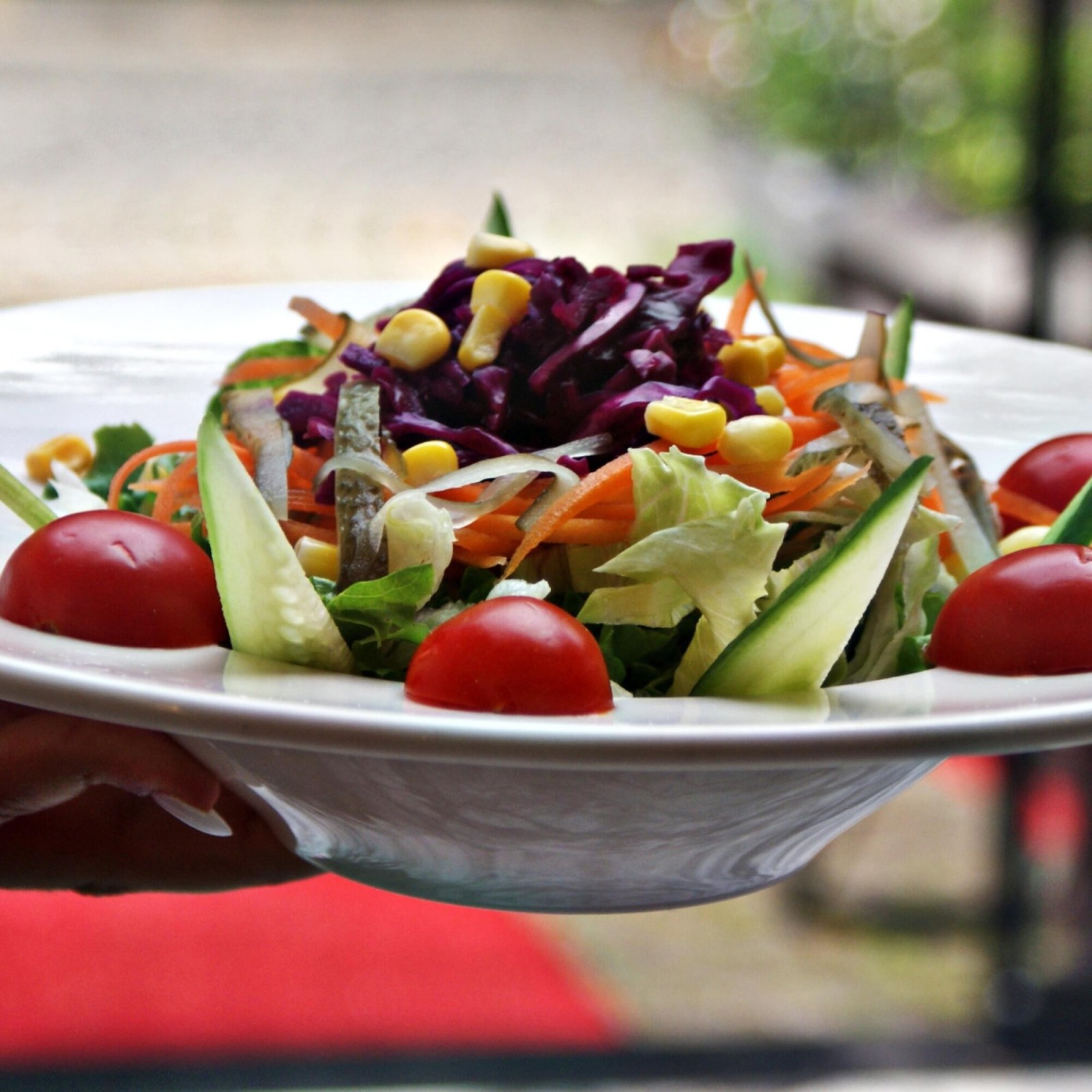 Mevsim Salata