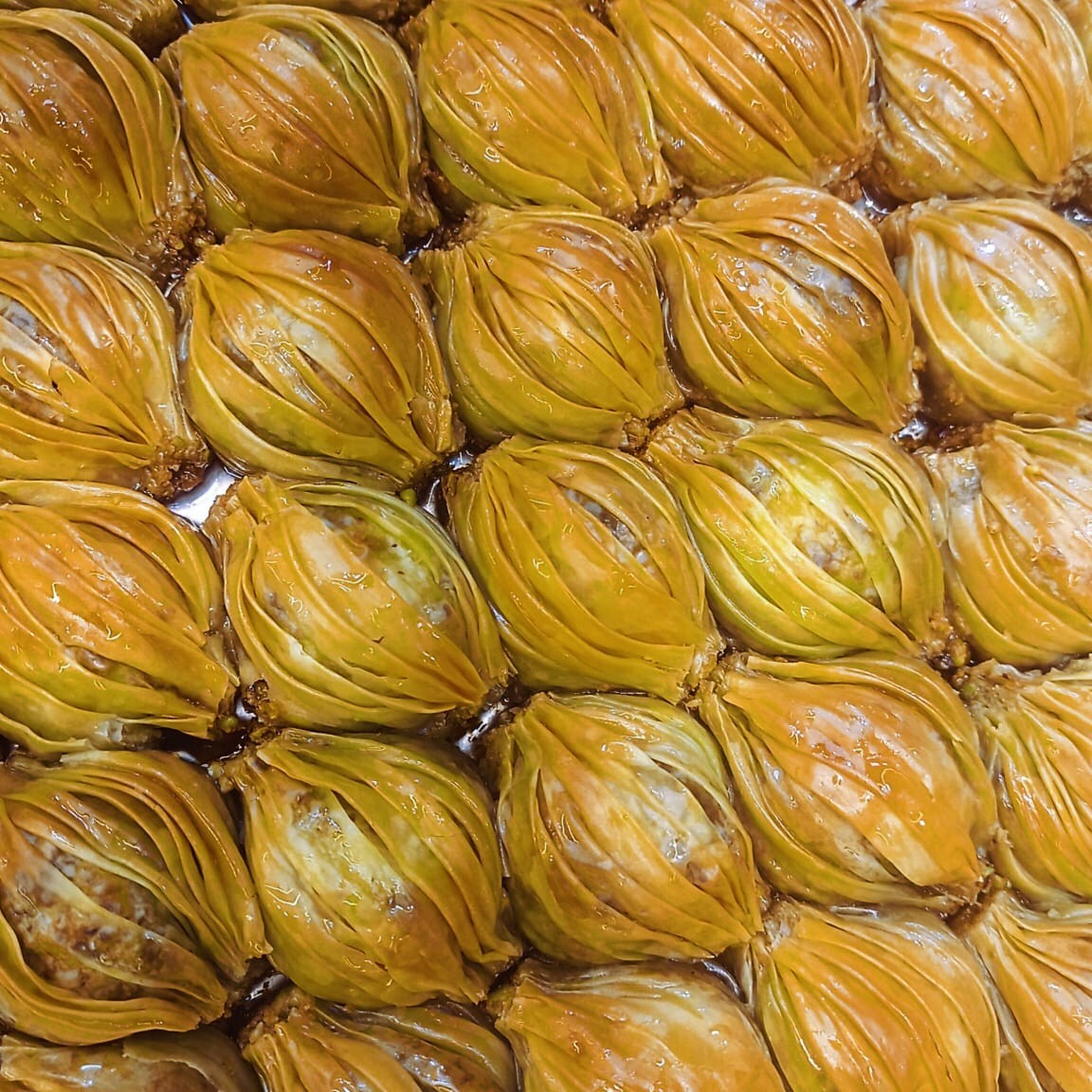 Fıstıklı Midye (1 kg)