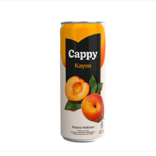 Cappy Kayısı (33 Cl)