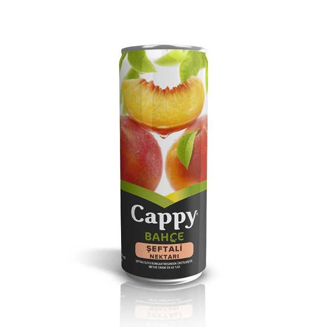 Cappy (Şeftali Nektari)
