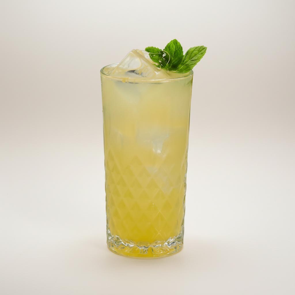 Naneli Limonata Küçük (250 cl)