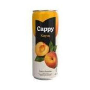 Cappy Kayısı (33 cl.)