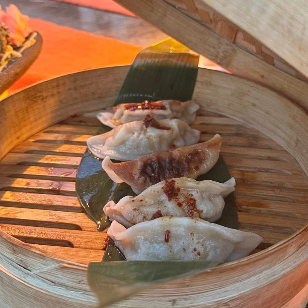 Gyoza