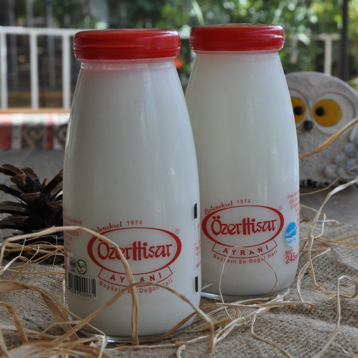 Özer Hisar Ayranı (245ml)