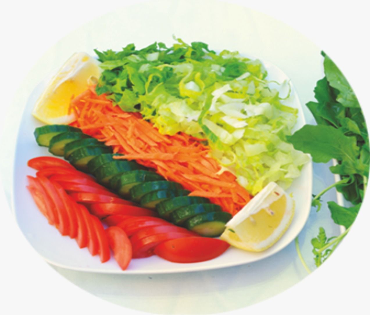 Mevsim Salata