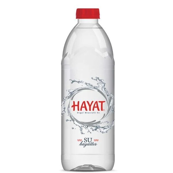 Hayat Su (500 ml)