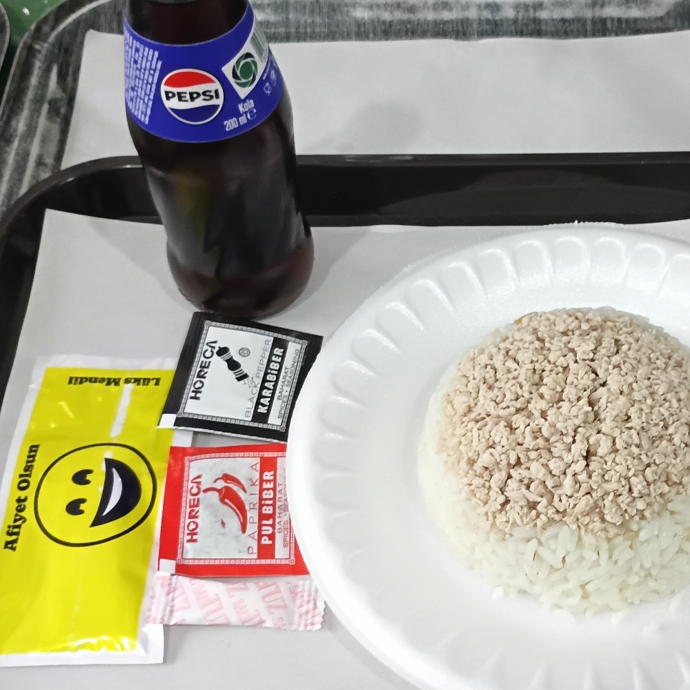 Tavuklu Nohut Pilav 4 Kişilik + Pepsi şişe kola