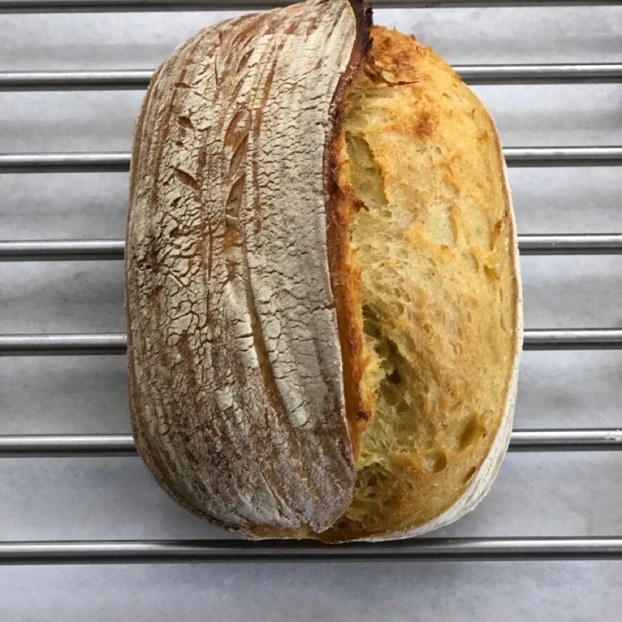 Sarı Buğday