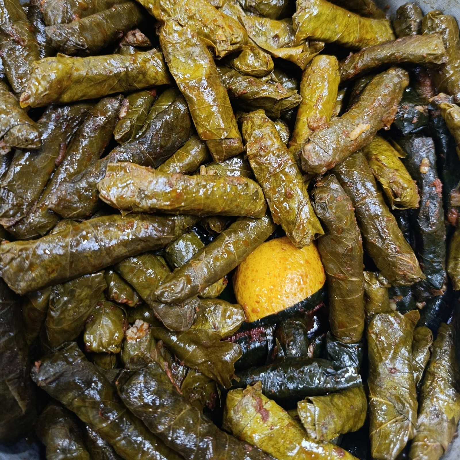 Sarma Zeytinyağlı