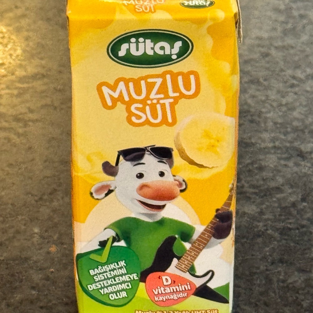 Muzlu Süt (20 cl)