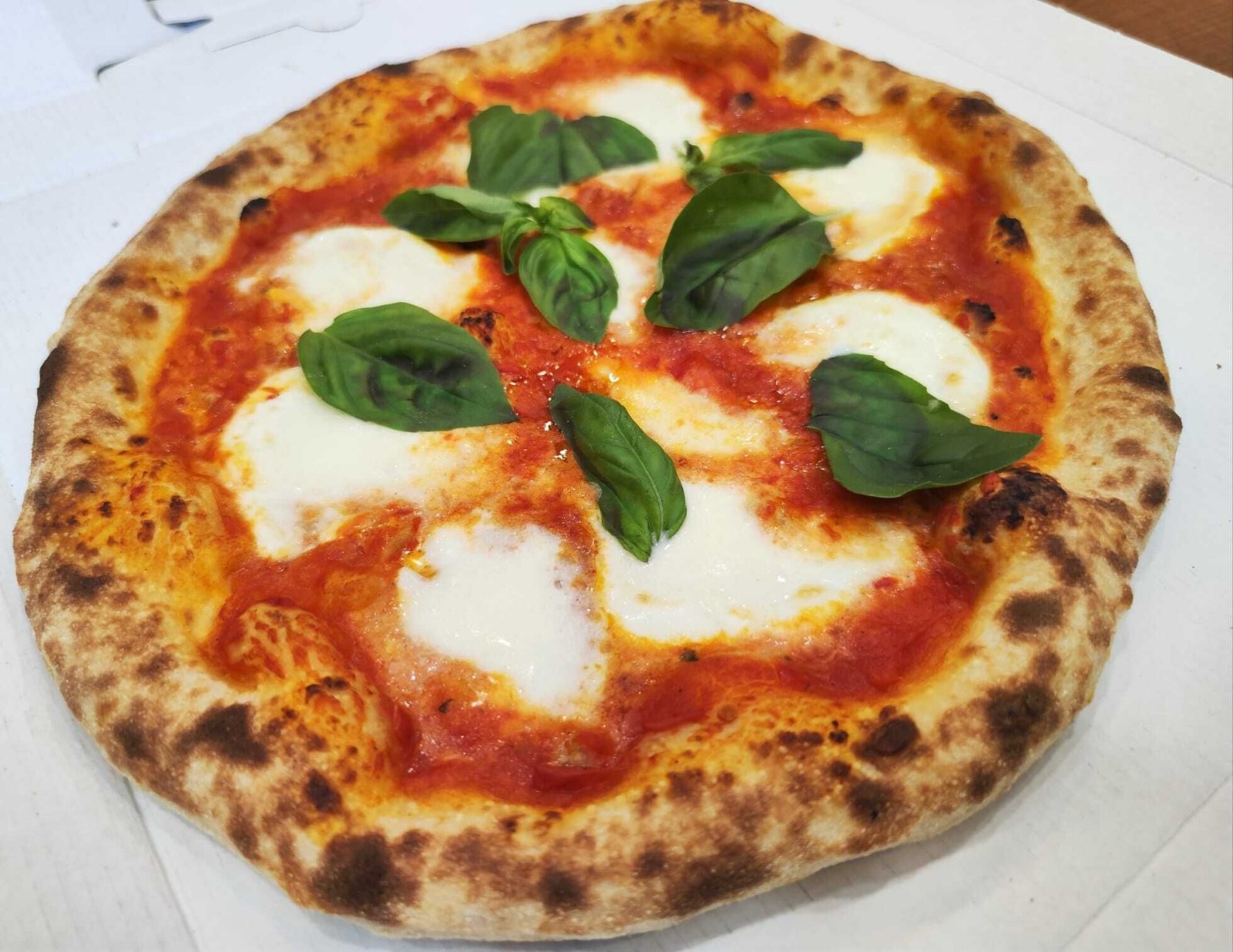 Pizza Margherita