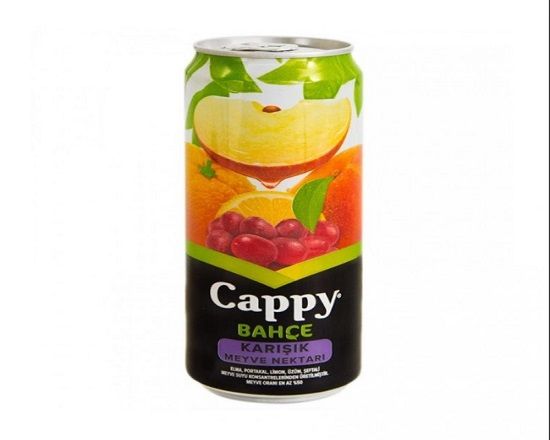 Meşrubat : Cappy Meyve Suyu 250 ml