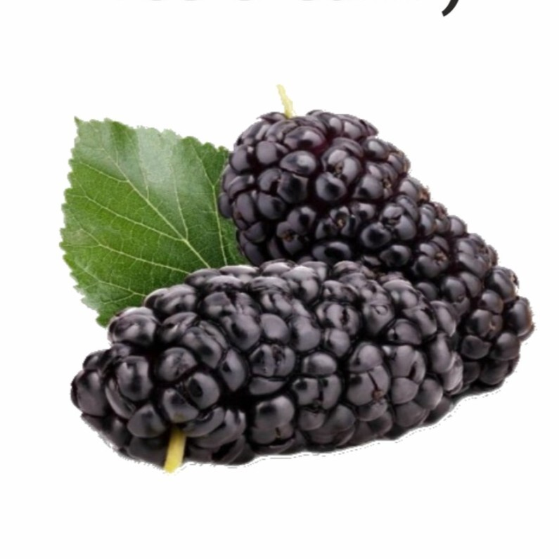 Karadutlu Dondurma (250 gr)