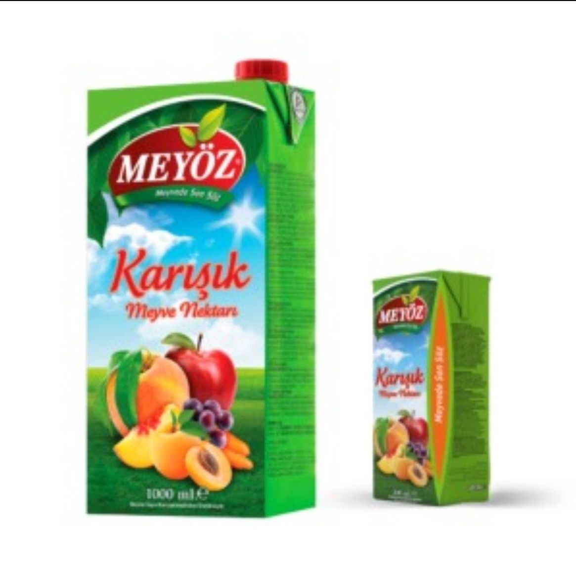 Meyöz Karışık Meyve suyu