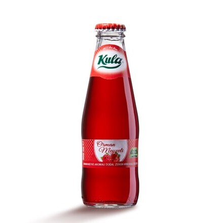 Orman Meyveli Soda (200 ml.)