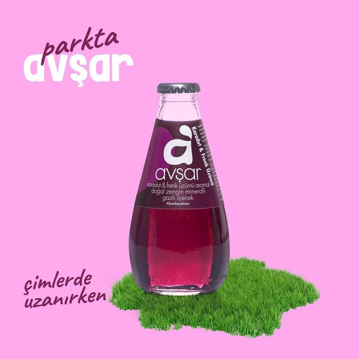 AVŞAR KARADUT FRENK ÜZÜMLÜ SODA 200 ML