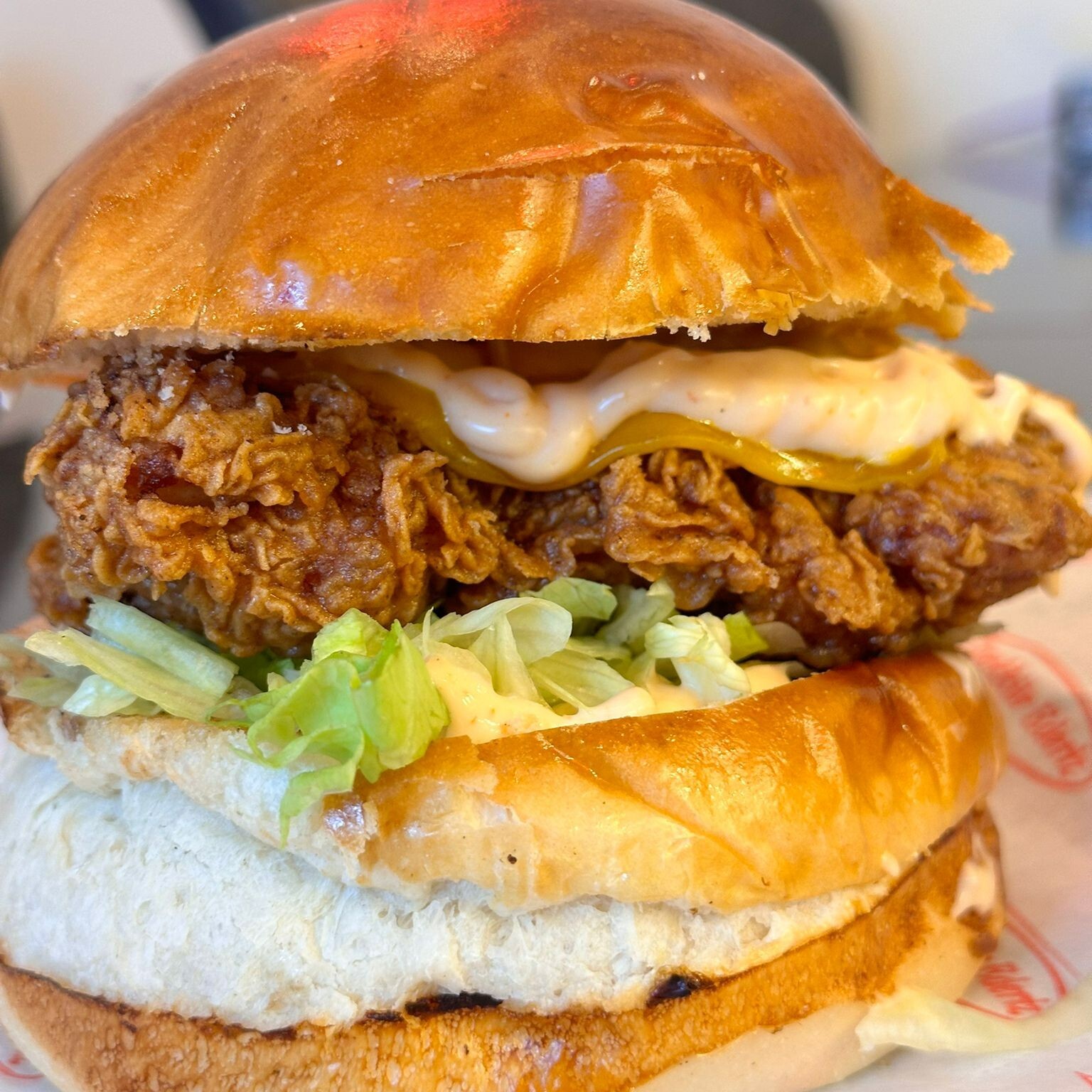 Specıal Chıcken Burger (PATATES KIZARTMASI İLE)
