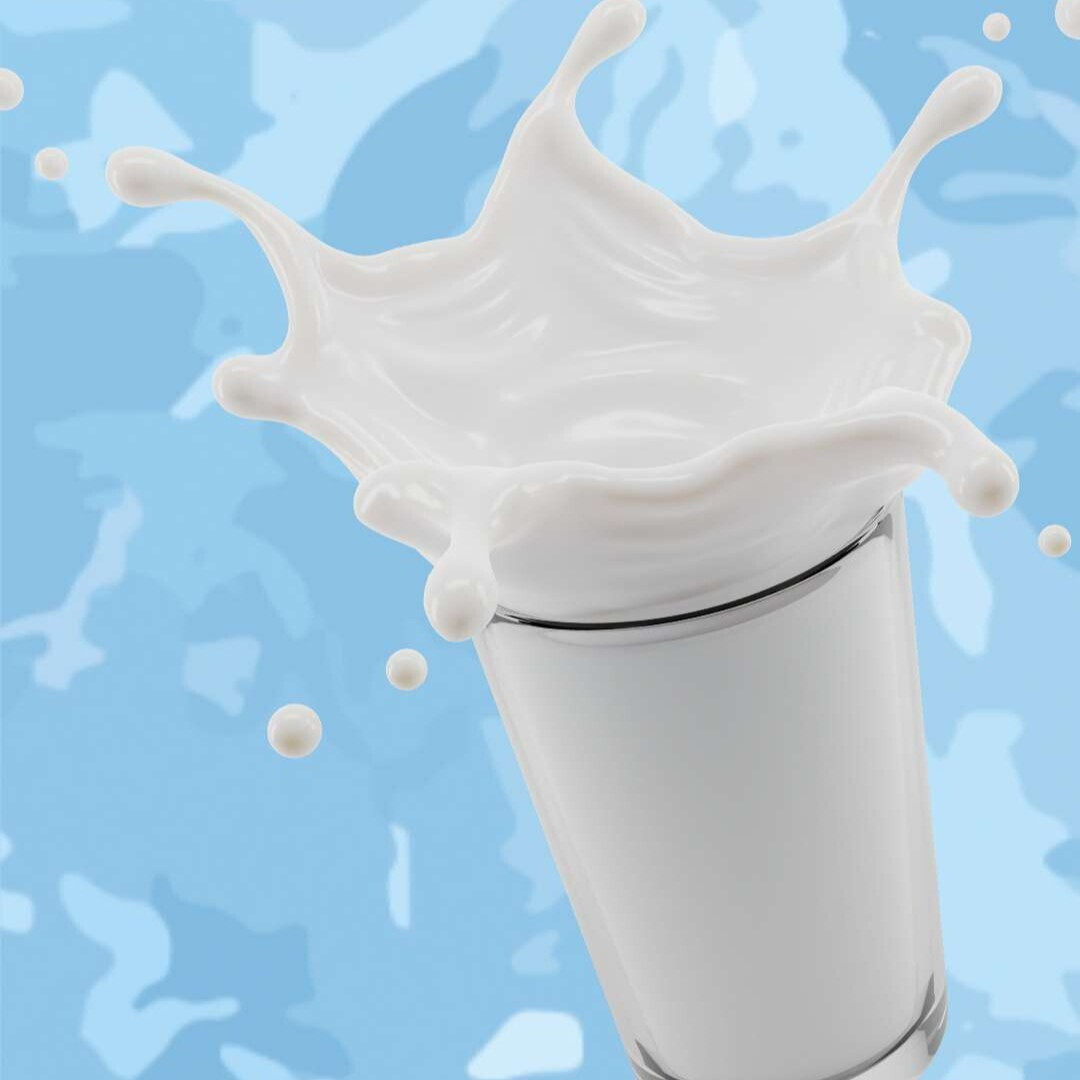Büyük Ayran (295 ml)