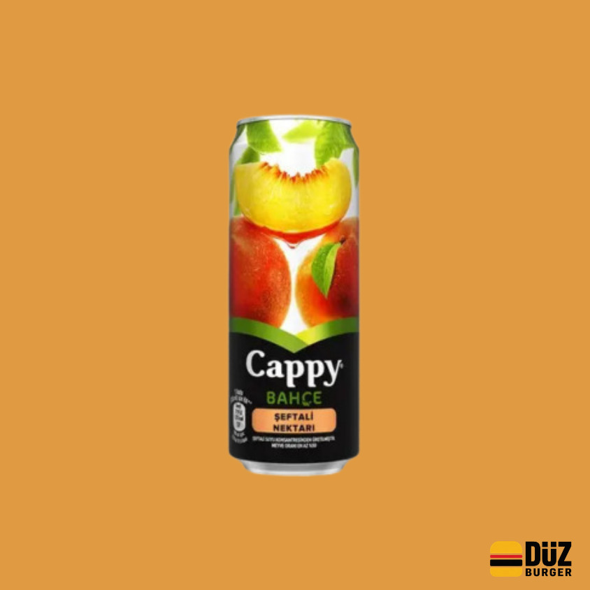Cappy Şeftali (33 cl)