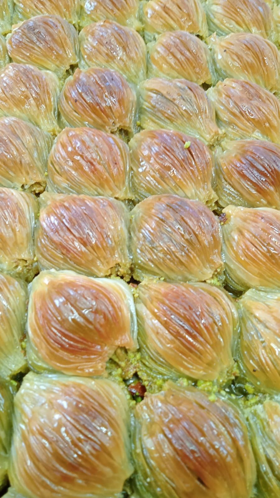 Alınel Fıstıklı Midye KG
