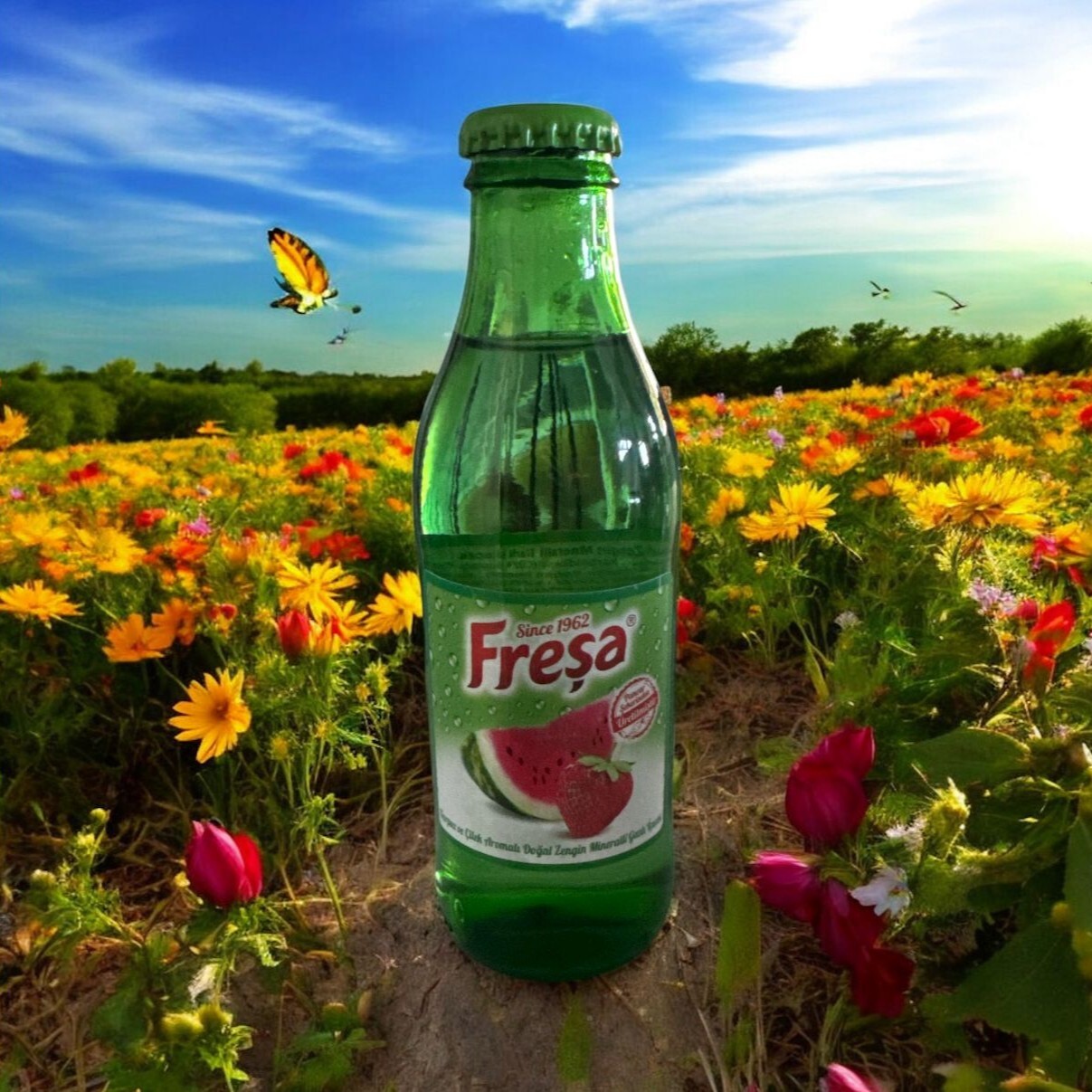 Freşa Meyveli Soda
