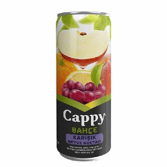 Cappy Karışık (33 cl.)