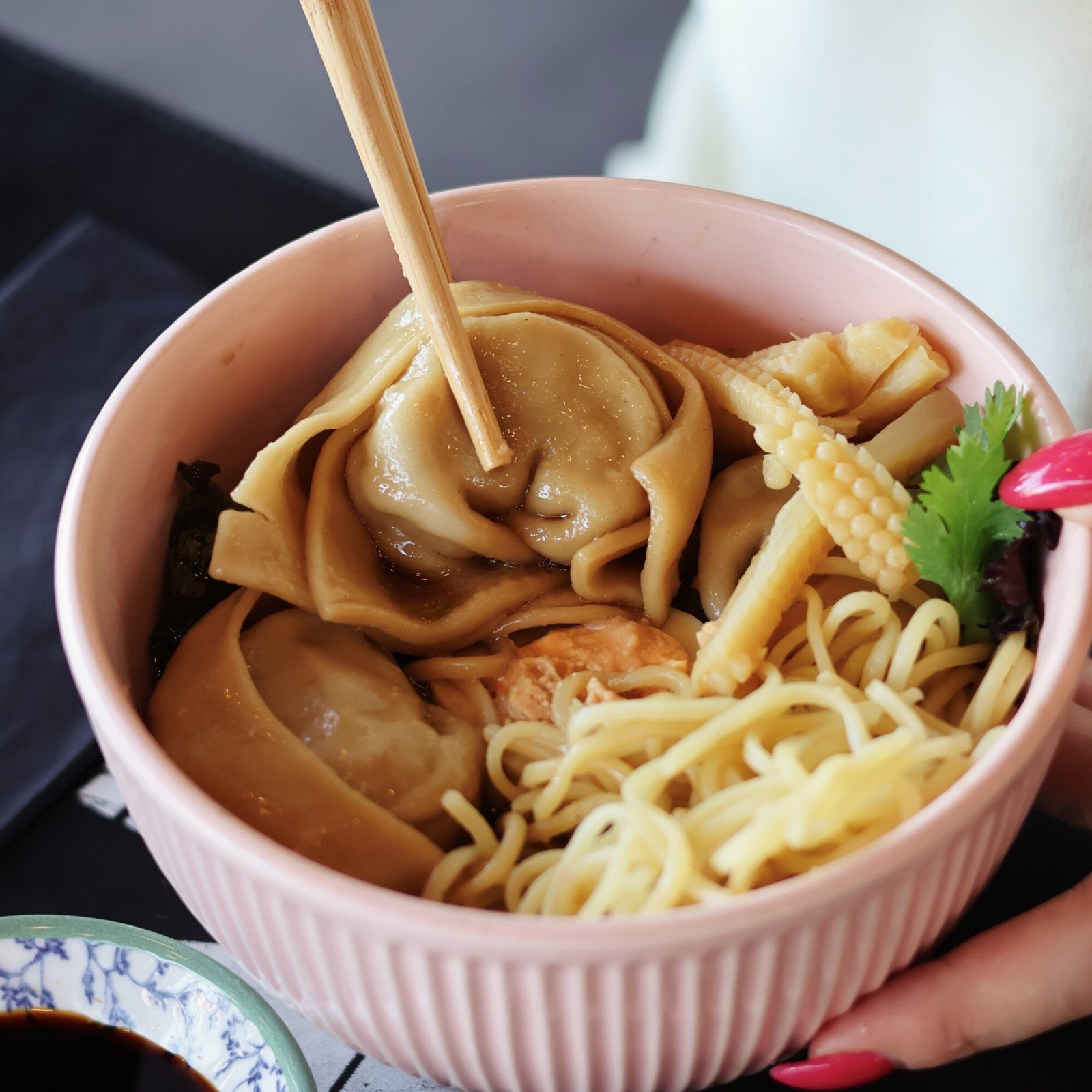 Wonton Sebzeli Çin Makarnası