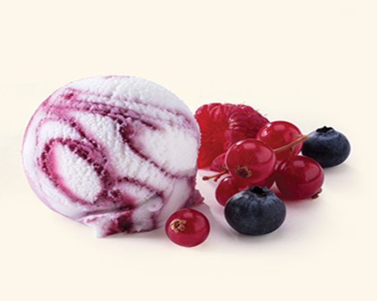Meyve Şöleni İtalyan Dondurması(500gr.)