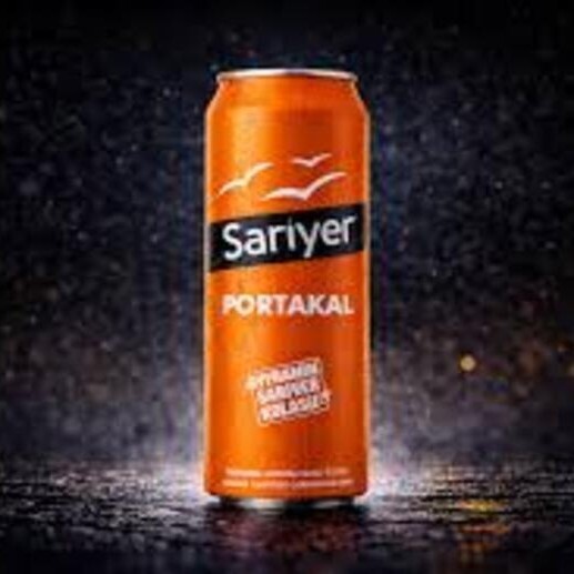 Sariyel Portakal