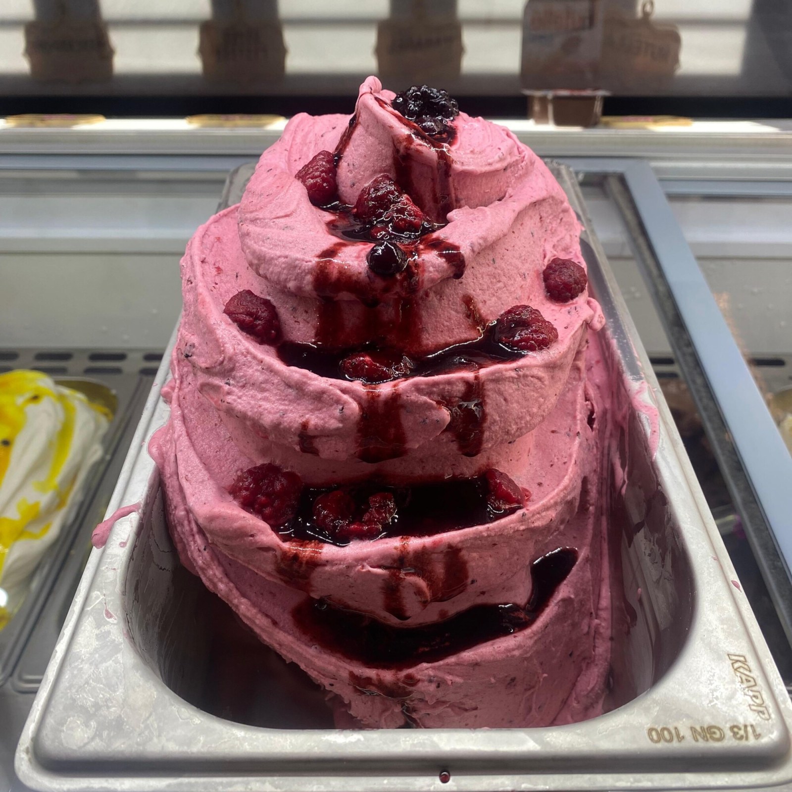 Orman Meyveli Gelato 500 GR
